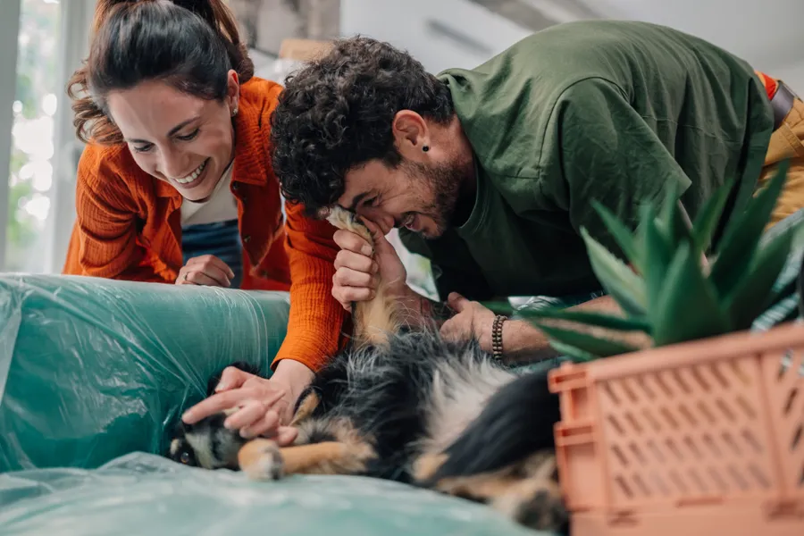 Couple jouant avec son chien adopté à la maison